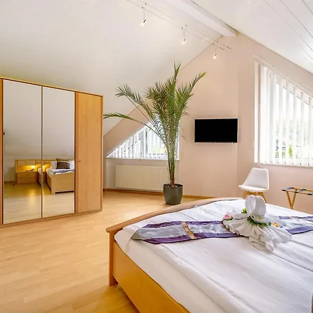 Appartement Steffen Trèves